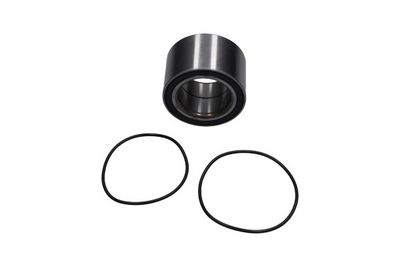 Комплект подшипника ступицы колеса KAVO PARTS WBK-10049