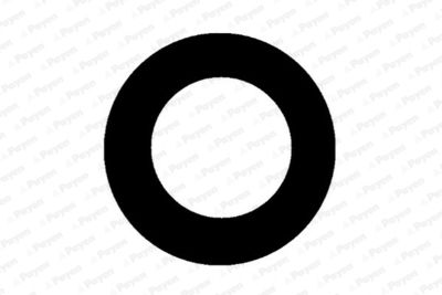 Прокладка, корпус свечи PAYEN JM5111