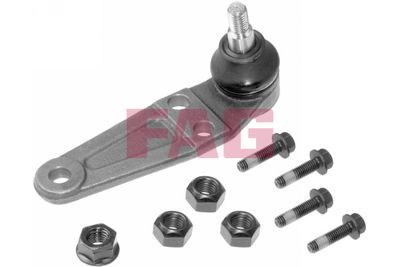 Balst-/Virzošais šarnīrs Schaeffler FAG 825 0216 10