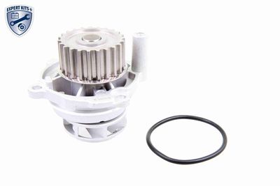 Ūdens sūknis, dzinēja dzesēšana VAICO V10-50011