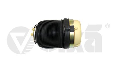 Pneimoatspere, Balstiekārta vika 66160001601