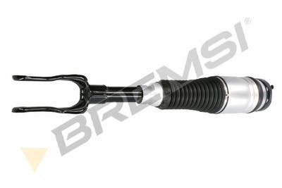 Pneimoatsperes statnis BREMSI SA1999