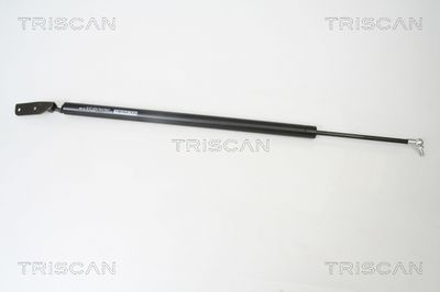 Gāzes atspere, Bagāžas/Kravas nodalījuma vāks TRISCAN 871042230