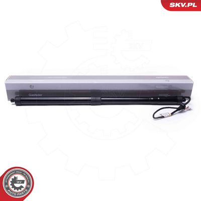 Электромотор, задняя дверь ESEN SKV 52SKV960