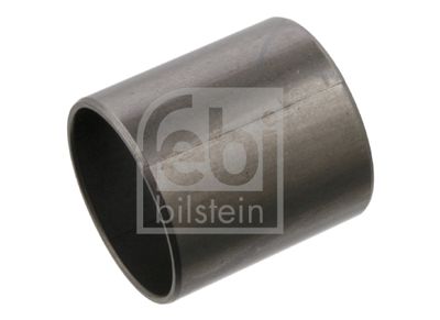 Puks,pidurikinga poldid FEBI BILSTEIN 02392