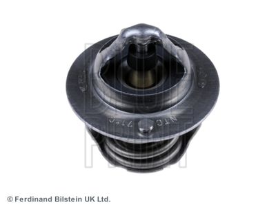 Termostats, Dzesēšanas šķidrums BLUE PRINT ADS79206