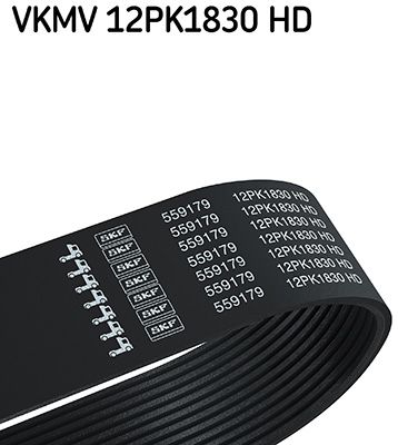 Ķīļrievu siksna SKF VKMV 12PK1830 HD
