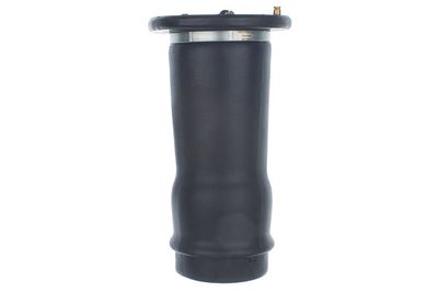 Pneimoatspere, Balstiekārta DENCKERMANN DSA122G