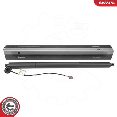 Электромотор, задняя дверь ESEN SKV 52SKV207