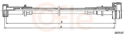 Spidometra trose COFLE 92.S07137