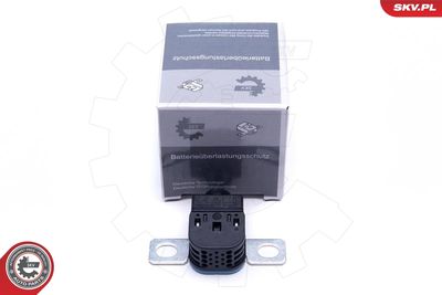 Sprieguma ierobežošanas ierīce, Ģenerators ESEN SKV 96SKV317