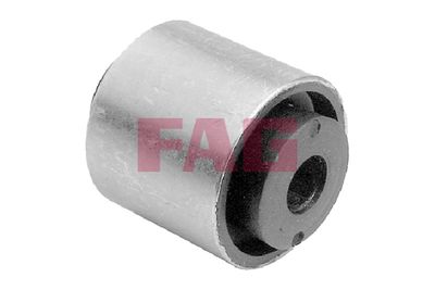 Подвеска, рычаг независимой подвески колеса Schaeffler FAG 829 0111 10