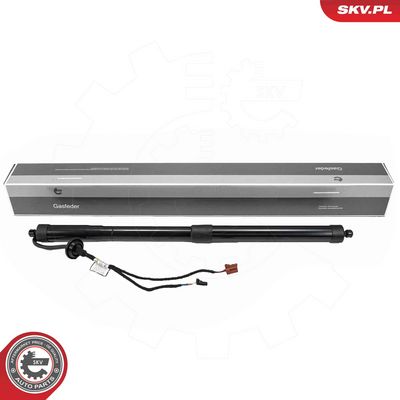 Электромотор, задняя дверь ESEN SKV 52SKV200