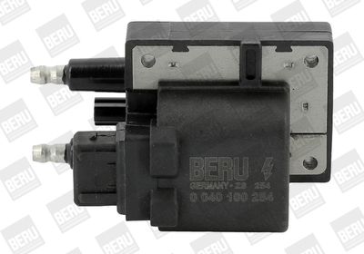 Aizdedzes spole BorgWarner (BERU) ZS254