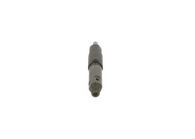 Распылитель BOSCH 0 432 131 678