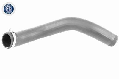 Трубка нагнетаемого воздуха VAICO V10-3777