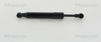 Gāzes atspere, Bagāžas/Kravas nodalījuma vāks TRISCAN 871020204