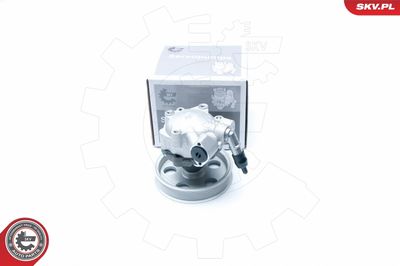 Hidrosūknis, Stūres iekārta ESEN SKV 10SKV185