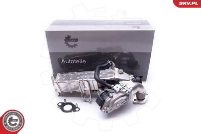 Клапан возврата ОГ ESEN SKV 14SKV235