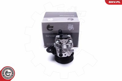 Hidrosūknis, Stūres iekārta ESEN SKV 10SKV310