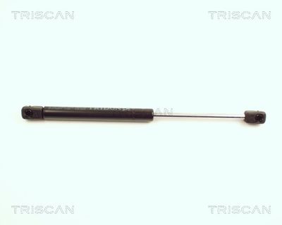Gāzes atspere, Bagāžas/Kravas nodalījuma vāks TRISCAN 871025217