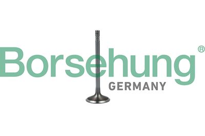 Впускной клапан BORSEHUNG B19023