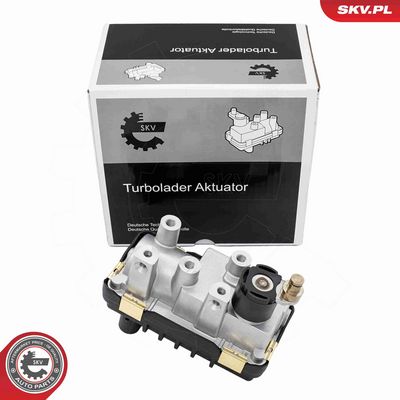 zawór turbiny BMW 5 X5,7790308N   / 6NW009420-22 / G-285 ESEN SKV 95SKV485