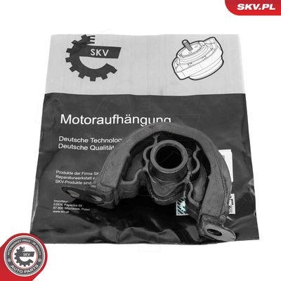 Piekare, Dzinējs ESEN SKV 75SKV261