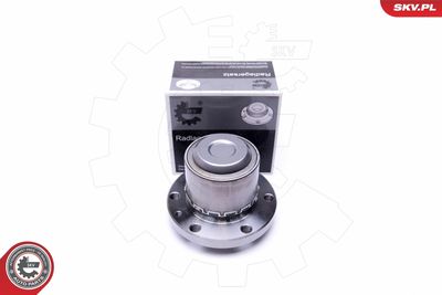 Комплект подшипника ступицы колеса ESEN SKV 29SKV374