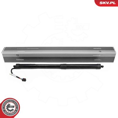 Электромотор, задняя дверь ESEN SKV 52SKV166