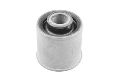 Piekare, Šķērssvira TEDGUM 00460890