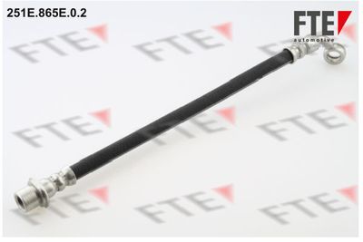 Тормозной шланг FTE 9240413