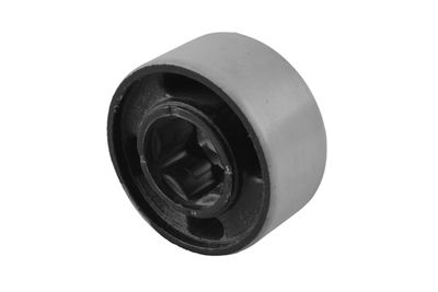 Piekare, Šķērssvira TEDGUM 00606443