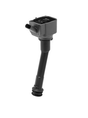 Aizdedzes spole BorgWarner (BERU) ZSE260