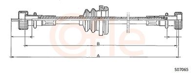 Spidometra trose COFLE S07065