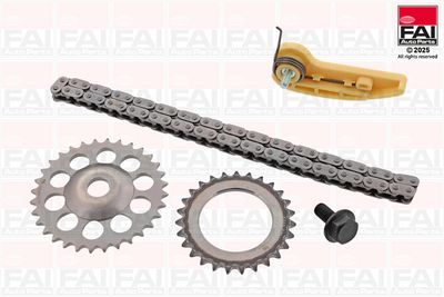 Ķēde, Eļļas sūkņa piedziņa FAI AutoParts OPCK39