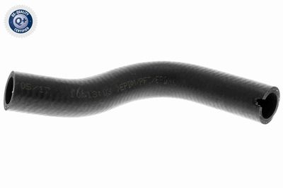 Pūtes sistēmas gaisa caurule VAICO V24-0726