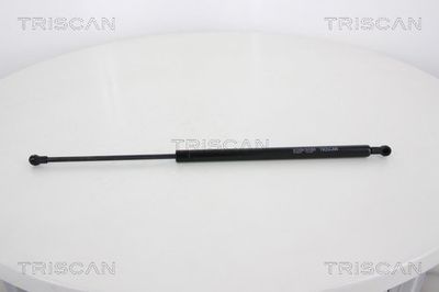 Gāzes atspere, Bagāžas/Kravas nodalījuma vāks TRISCAN 8710 28237