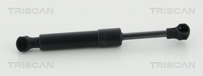 Gāzes atspere, Bagāžas/Kravas nodalījuma vāks TRISCAN 871 038 247