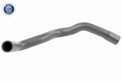 Radiatora cauruļvads VAICO V20-3246