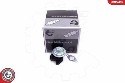 Клапан возврата ОГ ESEN SKV 14SKV205
