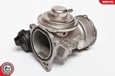 Клапан возврата ОГ ESEN SKV 14SKV025