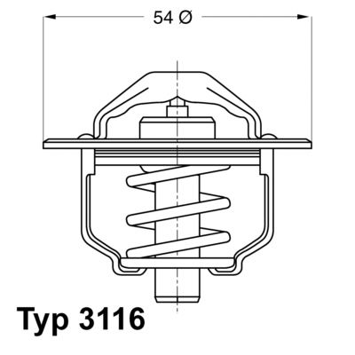 Termostats, Dzesēšanas šķidrums BorgWarner (Wahler) 3116.82D