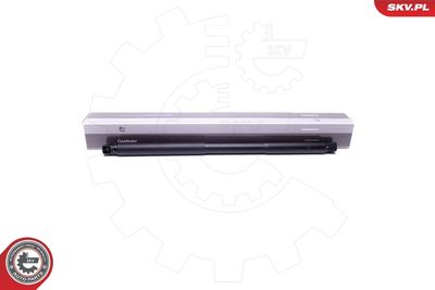 Elektromotors, Bagāžas nod. vāks ESEN SKV 52SKV947