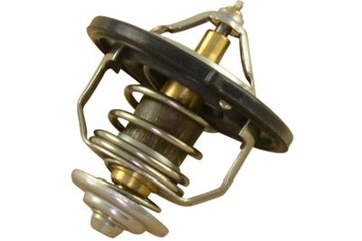 Termostats, Dzesēšanas šķidrums KAVO PARTS TH-3001