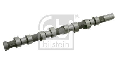 Sadales vārpsta FEBI BILSTEIN 24689