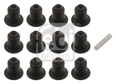 Blīvju komplekts, Vārsta kāts FEBI BILSTEIN 32621