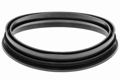 Blīve, Degvielas daudzuma devējs VEMO V25090030