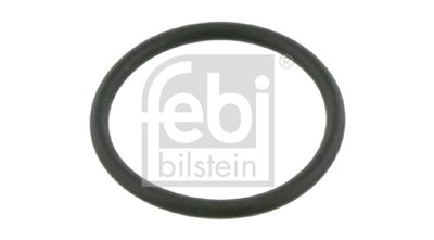Blīve, Bremžu vārpsta FEBI BILSTEIN 18184
