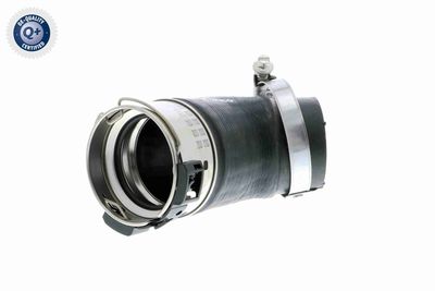 Pūtes sistēmas gaisa caurule VAICO V102832